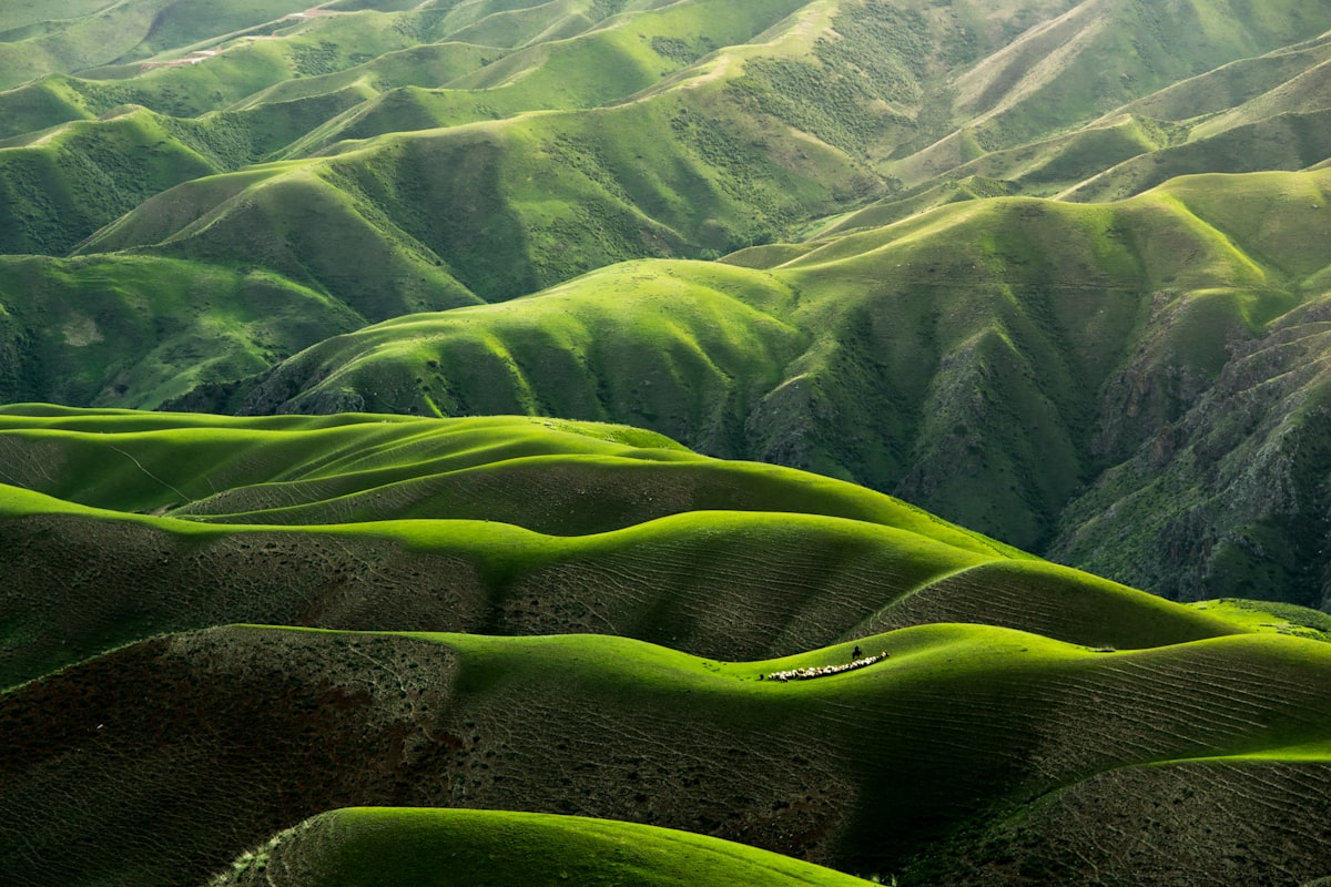 Carbon Dynamics of Restored Grasslands: A Decade of Eddy-Covariance Measurements